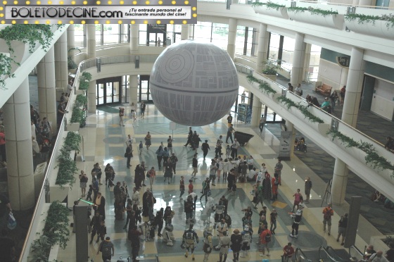celebration VI pic 22